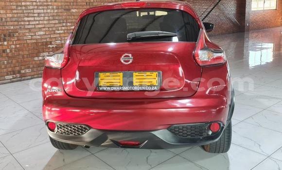 Buy Used Nissan Juke Red Car in Windhoek in Namibia Buy Used Nissan Juke Red Car in Windhoek in Namibia