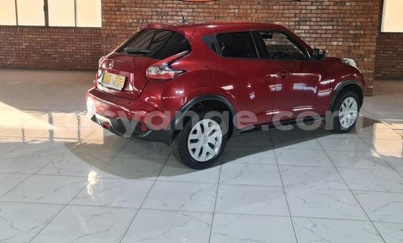 Buy Used Nissan Juke Red Car in Windhoek in Namibia Buy Used Nissan Juke Red Car in Windhoek in Namibia