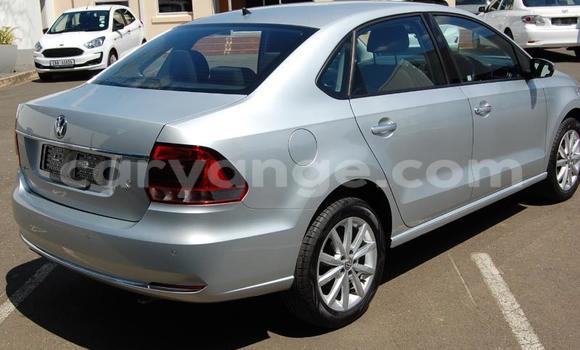 Buy Used Volkswagen Polo Silver Car in Windhoek in Namibia Buy Used Volkswagen Polo Silver Car in Windhoek in Namibia
