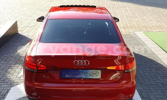 Acheter Occasion Voiture Audi A4 Rouge à Windhoek, Namibie Acheter Occasion Voiture Audi A4 Rouge à Windhoek, Namibie