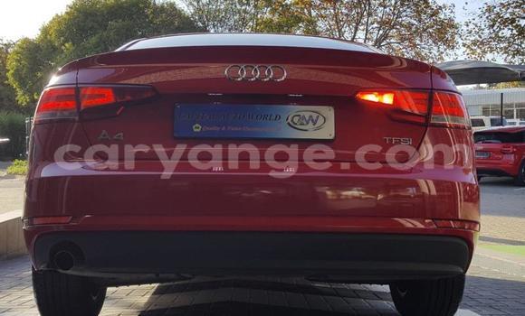 Acheter Occasion Voiture Audi A4 Rouge à Windhoek, Namibie Acheter Occasion Voiture Audi A4 Rouge à Windhoek, Namibie