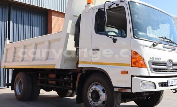 Buy Used Hino 300 Series White Truck in Windhoek in Namibia