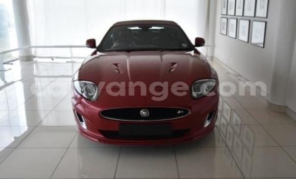 Buy Used Jaguar X–Type Red Car in Windhoek in Namibia Buy Used Jaguar X–Type Red Car in Windhoek in Namibia