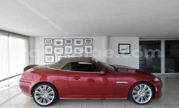 Buy Used Jaguar X–Type Red Car in Windhoek in Namibia Buy Used Jaguar X–Type Red Car in Windhoek in Namibia