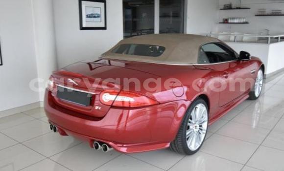 Buy Used Jaguar X–Type Red Car in Windhoek in Namibia Buy Used Jaguar X–Type Red Car in Windhoek in Namibia
