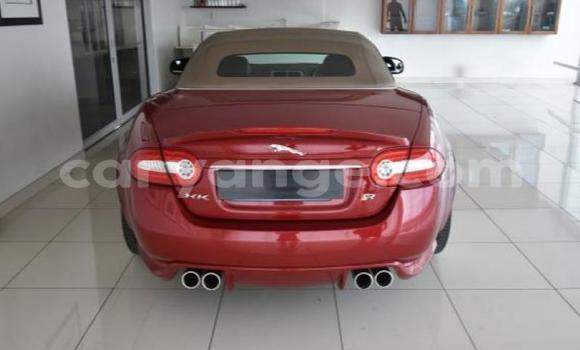 Buy Used Jaguar X–Type Red Car in Windhoek in Namibia Buy Used Jaguar X–Type Red Car in Windhoek in Namibia