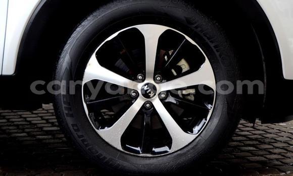 Buy Used Kia Sorento Other Car in Windhoek in Namibia Buy Used Kia Sorento Other Car in Windhoek in Namibia