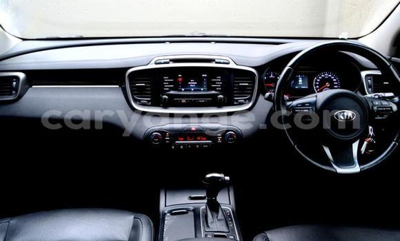 Buy Used Kia Sorento Other Car in Windhoek in Namibia Buy Used Kia Sorento Other Car in Windhoek in Namibia