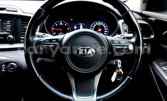 Buy Used Kia Sorento Other Car in Windhoek in Namibia Buy Used Kia Sorento Other Car in Windhoek in Namibia
