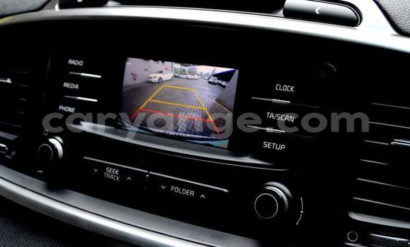 Buy Used Kia Sorento Other Car in Windhoek in Namibia Buy Used Kia Sorento Other Car in Windhoek in Namibia
