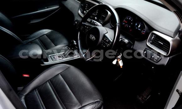 Buy Used Kia Sorento Other Car in Windhoek in Namibia Buy Used Kia Sorento Other Car in Windhoek in Namibia