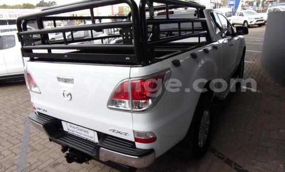 Buy Used Mazda BT-50 White Car in Windhoek in Namibia Buy Used Mazda BT-50 White Car in Windhoek in Namibia