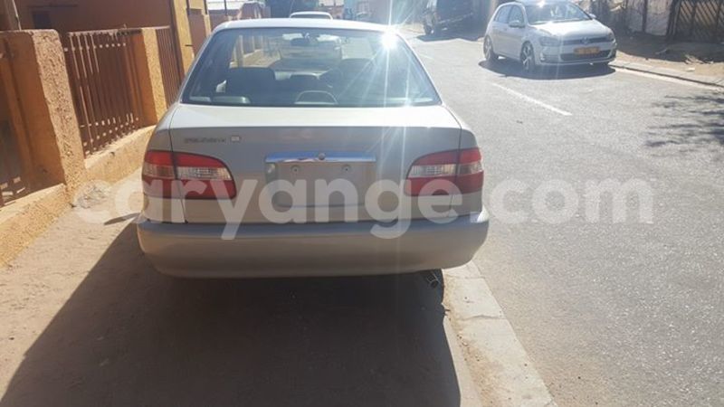 Big with watermark 13438935 10209878772548827 3685891508087656301 n