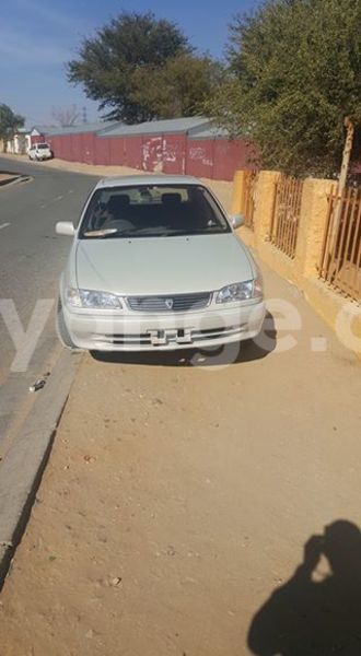 Big with watermark 13567312 10209878771468800 3433607950289497499 n