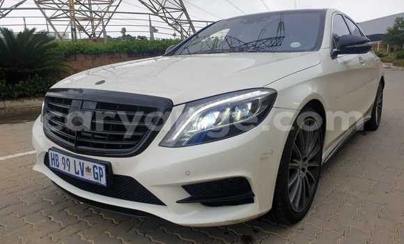 Buy Used Mercedes-Benz S–Class White Car in Windhoek in Namibia