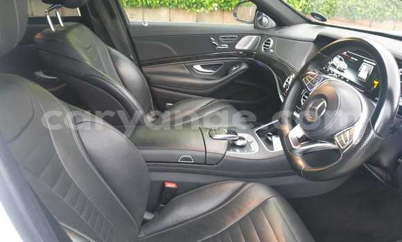 Buy Used Mercedes-Benz S–Class White Car in Windhoek in Namibia Buy Used Mercedes-Benz S–Class White Car in Windhoek in Namibia
