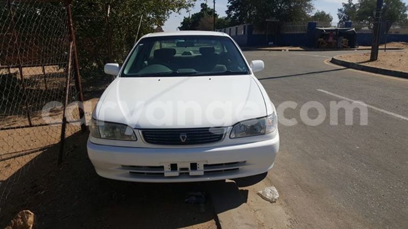 Big with watermark 13592308 10209878767348697 6841268810567285195 n