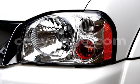 Acheter Occasion Voiture Nissan NP 300 Autre à Windhoek, Namibie Acheter Occasion Voiture Nissan NP 300 Autre à Windhoek, Namibie