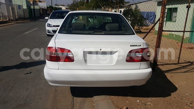 Big with watermark 13619841 10209878767028689 3929415098749100878 n