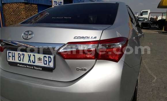 Buy Used Toyota Corolla Silver Car in Windhoek in Namibia Buy Used Toyota Corolla Silver Car in Windhoek in Namibia