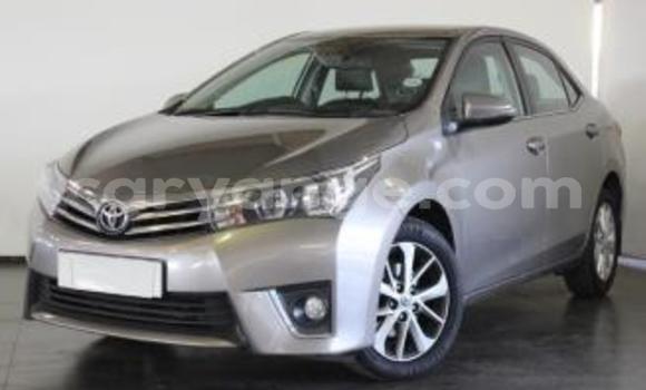 Acheter Occasion Voiture Toyota Corolla Gris à Okahandja, Namibie