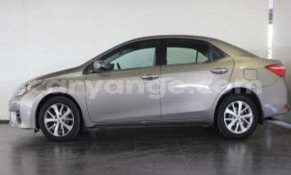 Buy Used Toyota Corolla Silver Car in Okahandja in Namibia Buy Used Toyota Corolla Silver Car in Okahandja in Namibia