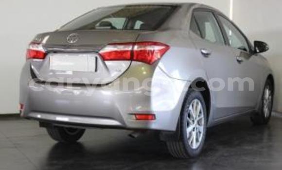 Buy Used Toyota Corolla Silver Car in Okahandja in Namibia Buy Used Toyota Corolla Silver Car in Okahandja in Namibia