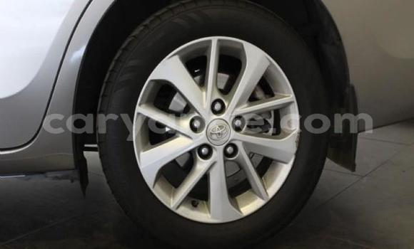 Buy Used Toyota Corolla Silver Car in Okahandja in Namibia Buy Used Toyota Corolla Silver Car in Okahandja in Namibia