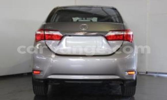 Buy Used Toyota Corolla Silver Car in Okahandja in Namibia Buy Used Toyota Corolla Silver Car in Okahandja in Namibia