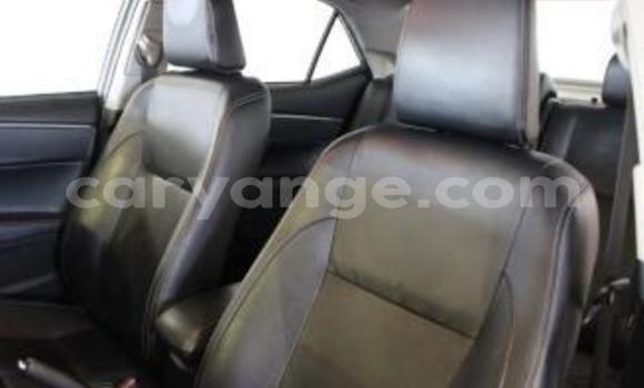 Buy Used Toyota Corolla Silver Car in Okahandja in Namibia Buy Used Toyota Corolla Silver Car in Okahandja in Namibia