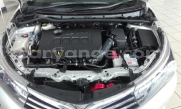 Acheter Occasion Voiture Toyota Corolla Gris à Arandis, Kunene Acheter Occasion Voiture Toyota Corolla Gris à Arandis, Kunene