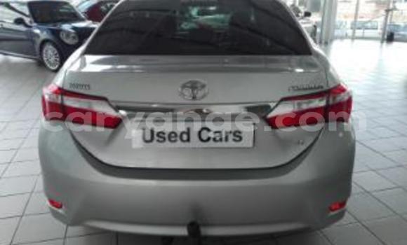 Acheter Occasion Voiture Toyota Corolla Gris à Arandis, Kunene Acheter Occasion Voiture Toyota Corolla Gris à Arandis, Kunene