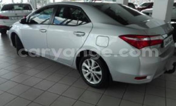 Acheter Occasion Voiture Toyota Corolla Gris à Arandis, Kunene Acheter Occasion Voiture Toyota Corolla Gris à Arandis, Kunene