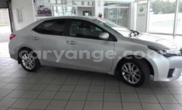Acheter Occasion Voiture Toyota Corolla Gris à Arandis, Kunene Acheter Occasion Voiture Toyota Corolla Gris à Arandis, Kunene