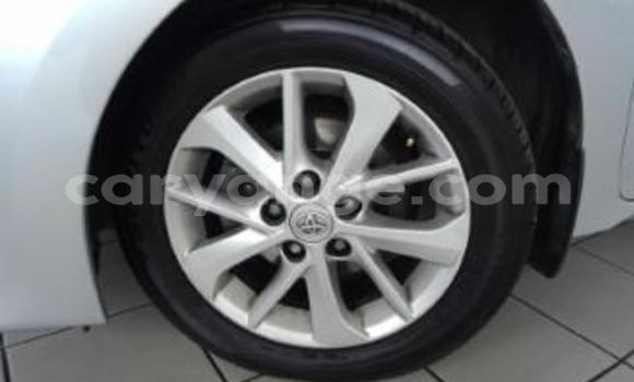 Acheter Occasion Voiture Toyota Corolla Gris à Arandis, Kunene Acheter Occasion Voiture Toyota Corolla Gris à Arandis, Kunene