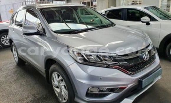 Buy Used Honda CR–V Silver Car in Otavi in Oshikoto Buy Used Honda CR–V Silver Car in Otavi in Oshikoto