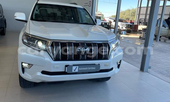 Buy Used Toyota Land Cruiser Prado White Car in Ongwediva in Oshana