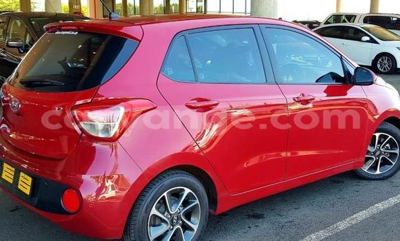 Acheter Occasion Voiture Hyundai i10 Rouge à Windhoek, Namibie Acheter Occasion Voiture Hyundai i10 Rouge à Windhoek, Namibie
