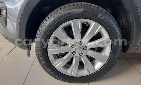 Buy Used Land Rover Discovery Sport Silver Car in Windhoek in Namibia Buy Used Land Rover Discovery Sport Silver Car in Windhoek in Namibia
