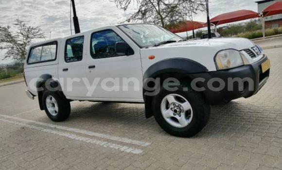 Buy Used Nissan Hardbody White Car in Windhoek in Namibia Buy Used Nissan Hardbody White Car in Windhoek in Namibia