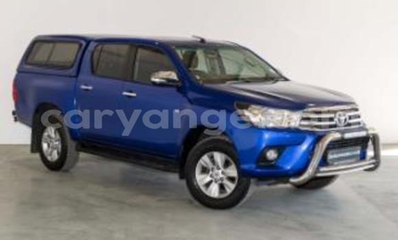 Buy Used Toyota Hilux Blue Car in Grootfontein in Namibia Buy Used Toyota Hilux Blue Car in Grootfontein in Namibia