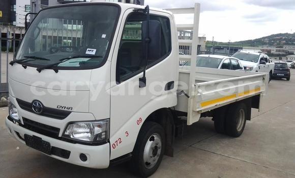 Buy Used Hino 300 Series White Truck in Windhoek in Namibia