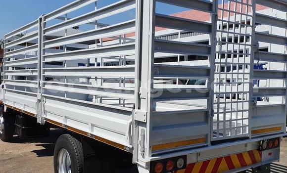 Acheter Occasion Utilitaire Isuzu FTR 850 Blanc à Windhoek, Namibie Acheter Occasion Utilitaire Isuzu FTR 850 Blanc à Windhoek, Namibie