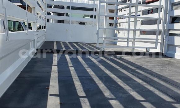 Acheter Occasion Utilitaire Isuzu FTR 850 Blanc à Windhoek, Namibie Acheter Occasion Utilitaire Isuzu FTR 850 Blanc à Windhoek, Namibie