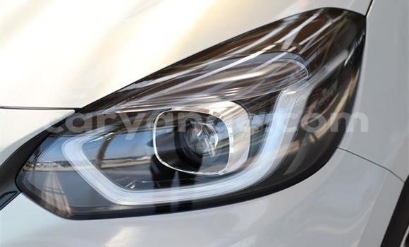 Buy Import Honda FIT Other Car in Windhoek in Namibia Buy Import Honda FIT Other Car in Windhoek in Namibia