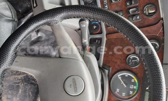 Buy Used Freightliner 90 Cum 500 White Truck in Windhoek in Namibia Buy Used Freightliner 90 Cum 500 White Truck in Windhoek in Namibia