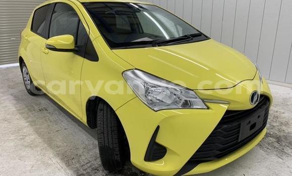 Buy Import Toyota Vitz Other Car in Windhoek in Namibia Buy Import Toyota Vitz Other Car in Windhoek in Namibia
