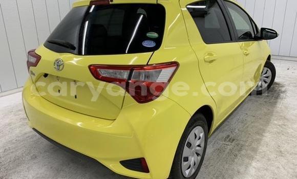 Buy Import Toyota Vitz Other Car in Windhoek in Namibia Buy Import Toyota Vitz Other Car in Windhoek in Namibia