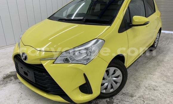 Buy Import Toyota Vitz Other Car in Windhoek in Namibia Buy Import Toyota Vitz Other Car in Windhoek in Namibia