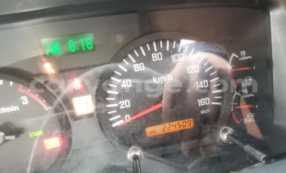 Buy Used Isuzu FTR 850 White Truck in Windhoek in Namibia Buy Used Isuzu FTR 850 White Truck in Windhoek in Namibia